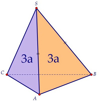 B9.      (. 48)