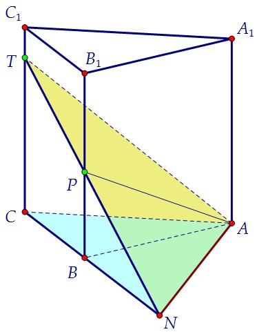 16(C2). На боковых рёбрах правильной треугольной призмы (вар. 91)