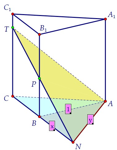 16(C2). На боковых рёбрах правильной треугольной призмы (вар. 91)