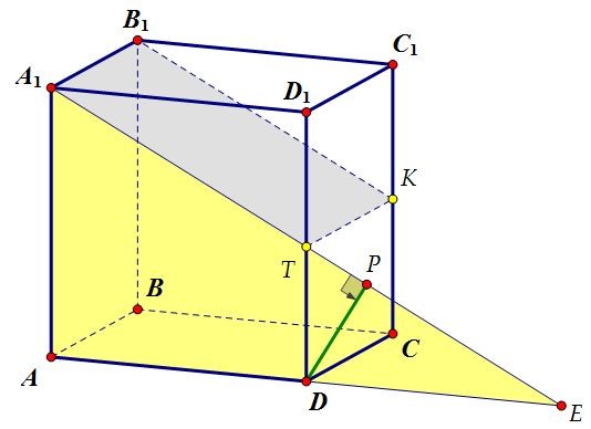 C2.           (. 55)