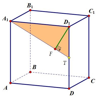 C2.           (. 55)